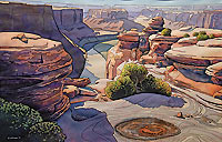 Deaman Point by Jonathan Frank